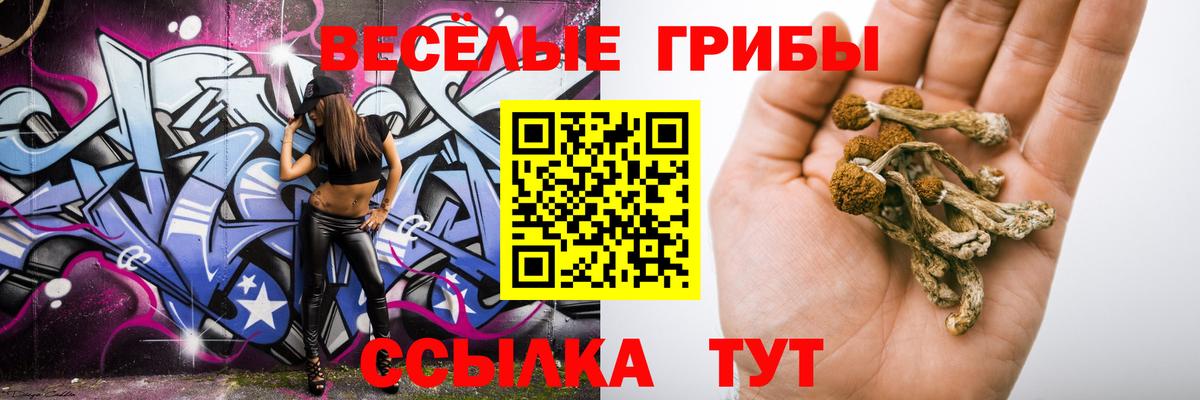 Петропавловск-Камчатский  Псилоцибиновые грибы Psilocybine cubensis  Вход с VPN 